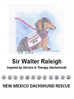 cover image of Sir Walter Raleigh